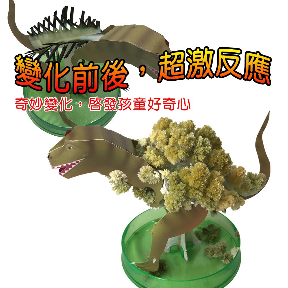 GS MALL 台灣製造 魔法開花成長恐龍樹 開花恐龍樹 恐龍樹 裝飾恐龍 開花樹 暴龍 神奇開花 成長樹 居家裝飾, , large