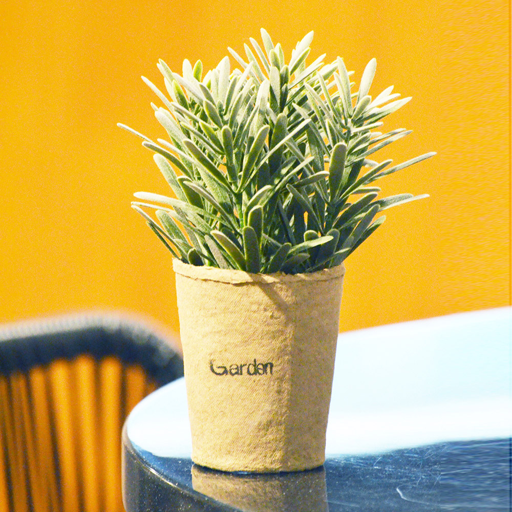 【YU Living】迷你仿真小清新綠色植物裝飾盆栽-芙蓉菊, , large