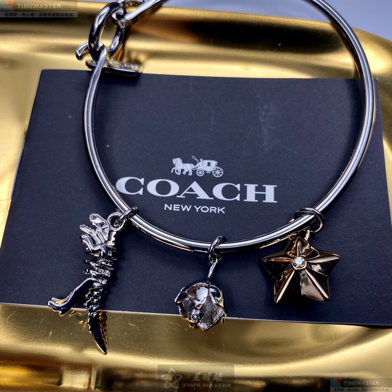 [星晴錶業]COACH手錶,36mm,CH00082白色錶面銀錶殼銀色精鋼錶帶款, , large