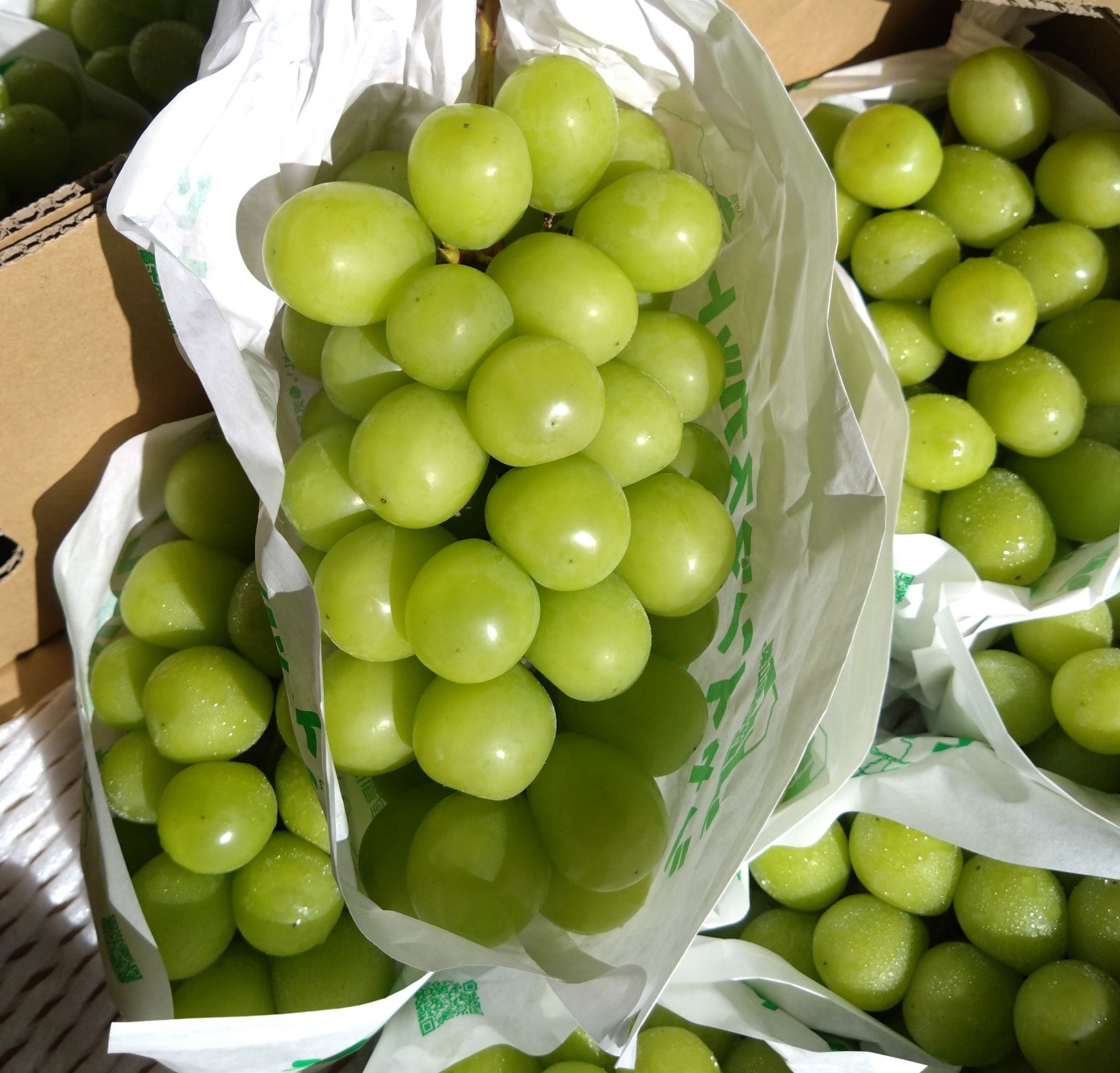 [芯鮮果]日本山梨縣( 麝香葡萄 ), , large