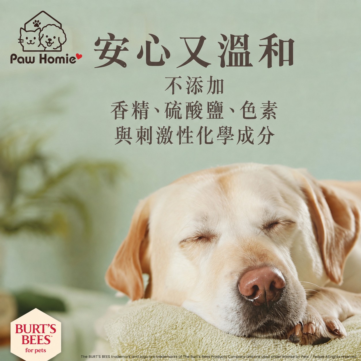 【全台快閃首賣】Burt's Bees&reg; 麥蘆卡保濕抑菌潔膚水 (犬用)｜限時買一送一｜共2罐, , large