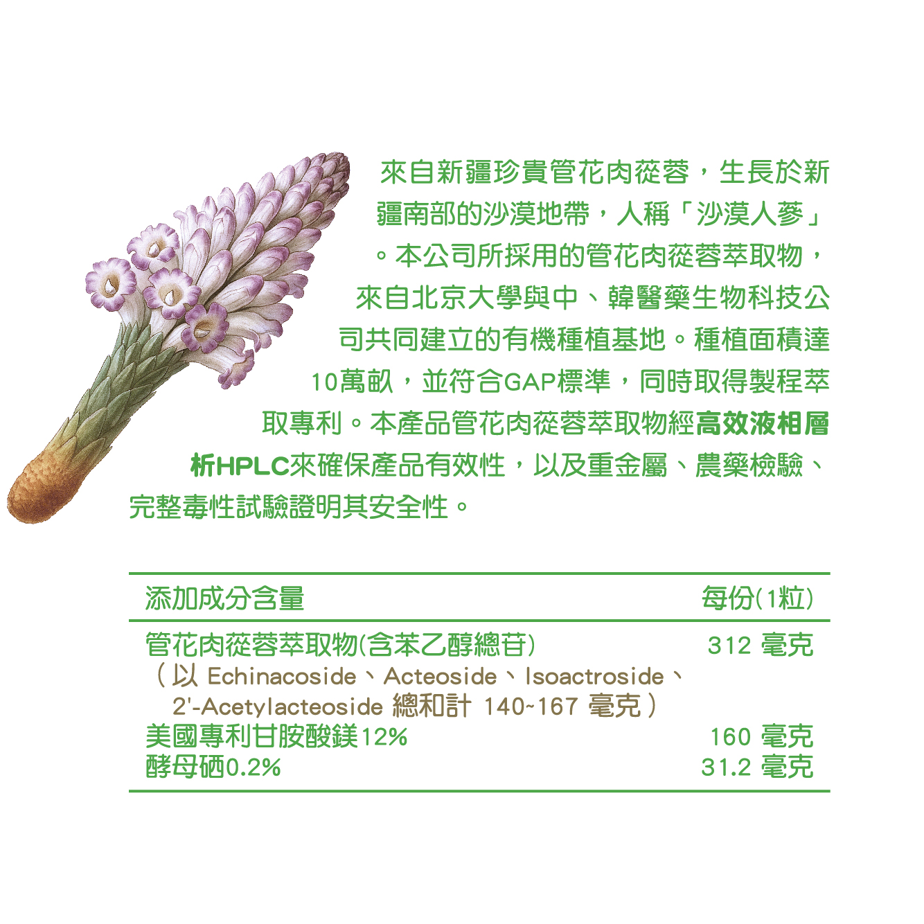 【BAOHU寶護】茴意能管花肉蓯蓉膠囊 全素 60粒, , large