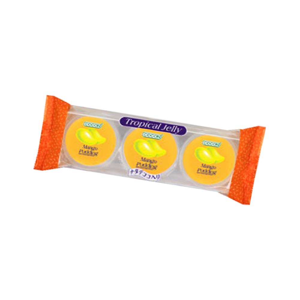 Cocon mango pudding, , large