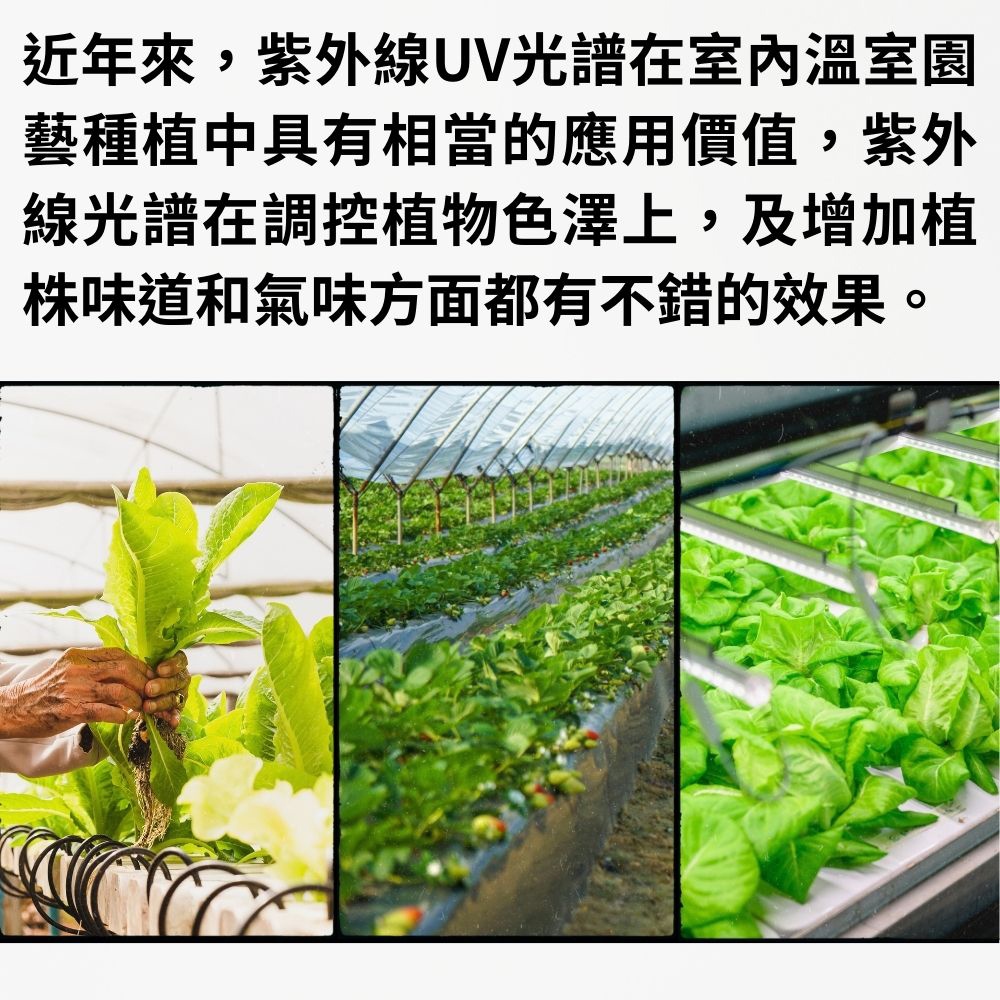 【君沛】UV紫外線 2呎 25W 防水植物燈 加強型光譜 三防燈 LED生長燈 多肉顯色 龍舌蘭 抑制徒長 植物櫃補光, , large