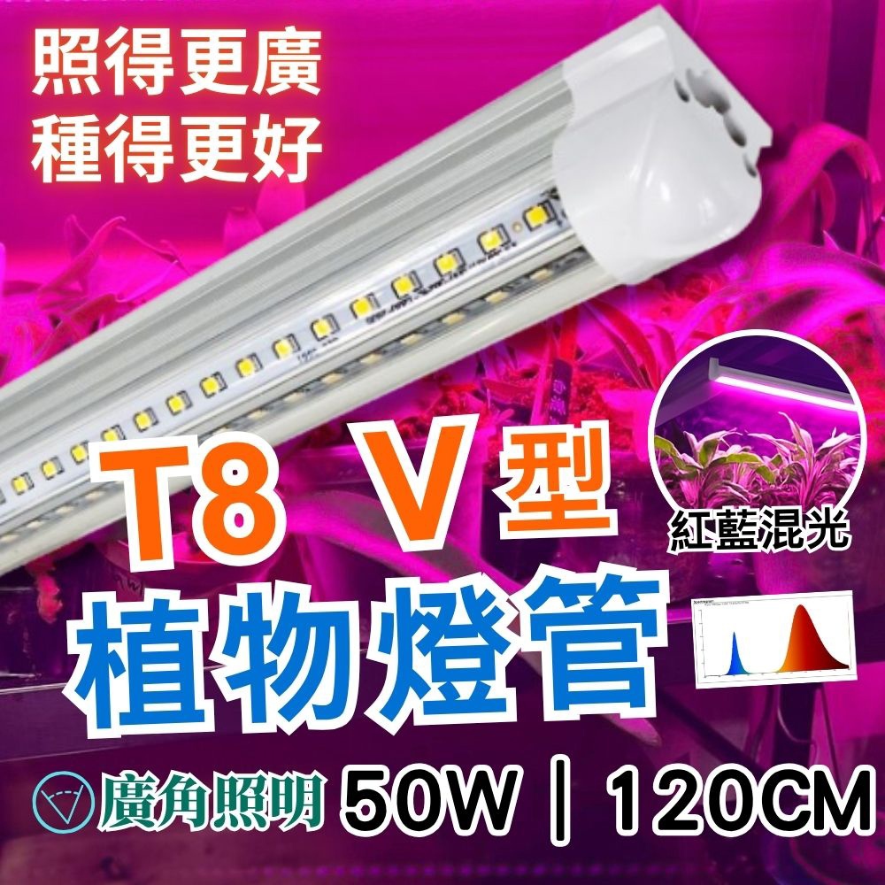 【君沛】紅藍光譜 V型雙排 4呎T8一體式 50W 專業育苗 抑制徒長 鹿角蕨孢子苗 龍舌蘭層架專用, , large