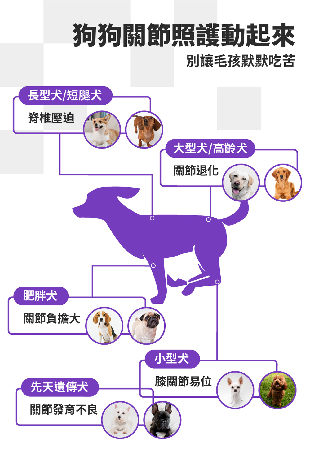 【GOMO PET FOOD】關節護動/成犬無穀高纖關節配方4.2kg 狗飼料 狗糧, , large
