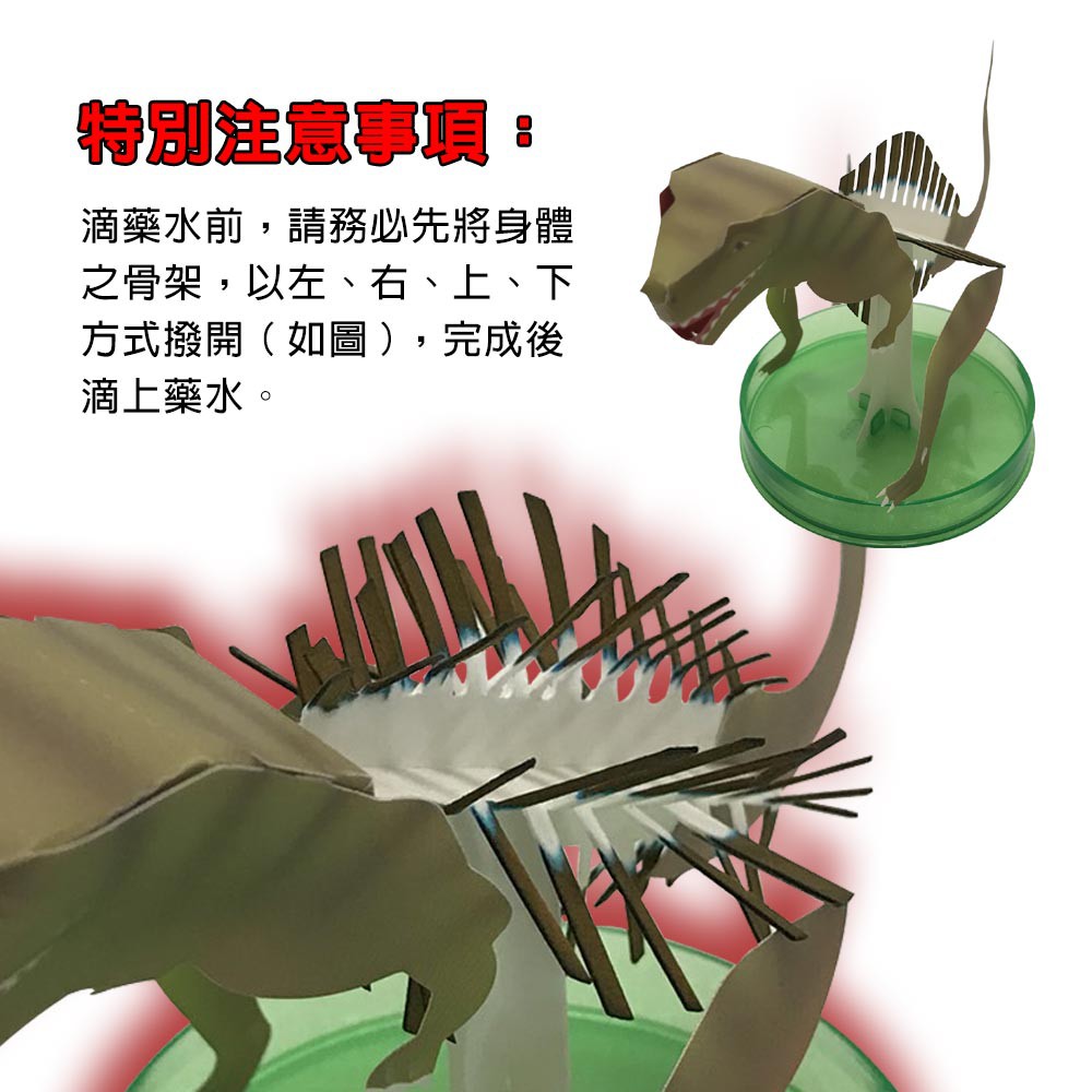 GS MALL 台灣製造 魔法開花成長恐龍樹 開花恐龍樹 恐龍樹 裝飾恐龍 開花樹 暴龍 神奇開花 成長樹 居家裝飾, , large