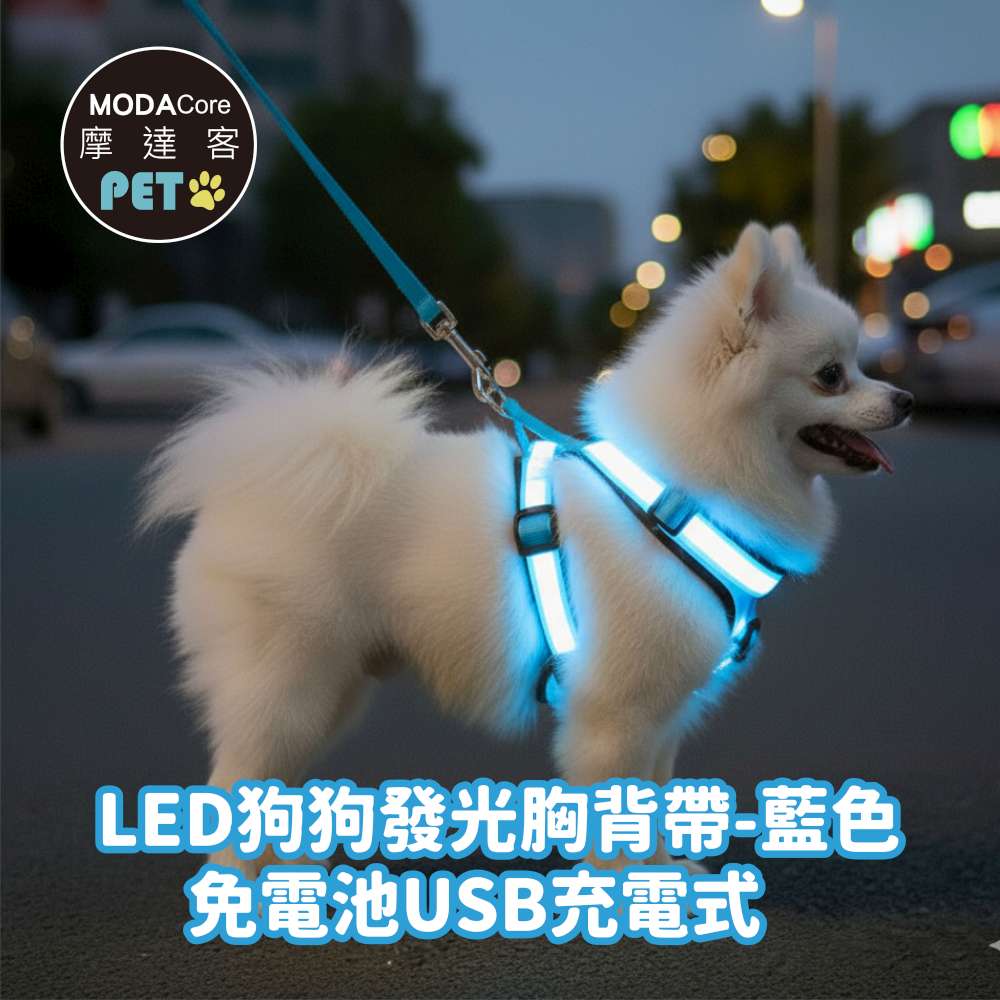 摩達客寵物-LED狗狗發光胸背帶 夜間遛狗 免電池USB充電式 兩色多尺寸  保護防撞防走失, , large