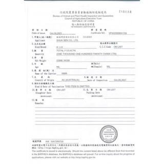 日本A5和牛 無骨牛小排100g 想你應該會很愛/厚切燒肉片/冷凍肉品/燒烤火鍋/油花豐富/高級牛肉【老王賣肉】, , large