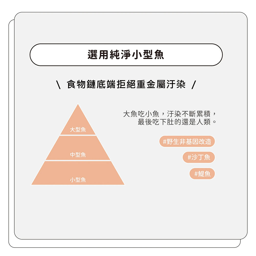 行走良方 挪威易吞型高單位魚油 60粒, , large