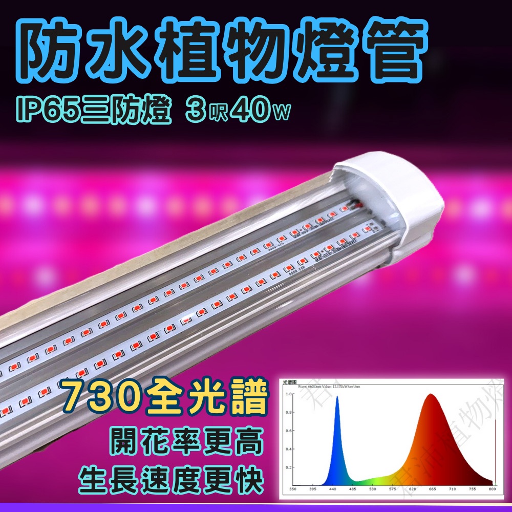 【君沛】防水 3呎 40W 植物燈 730全光譜 三防燈 LED植物生長燈 溫室 植物工廠 陽台補光 誘導開花, , large