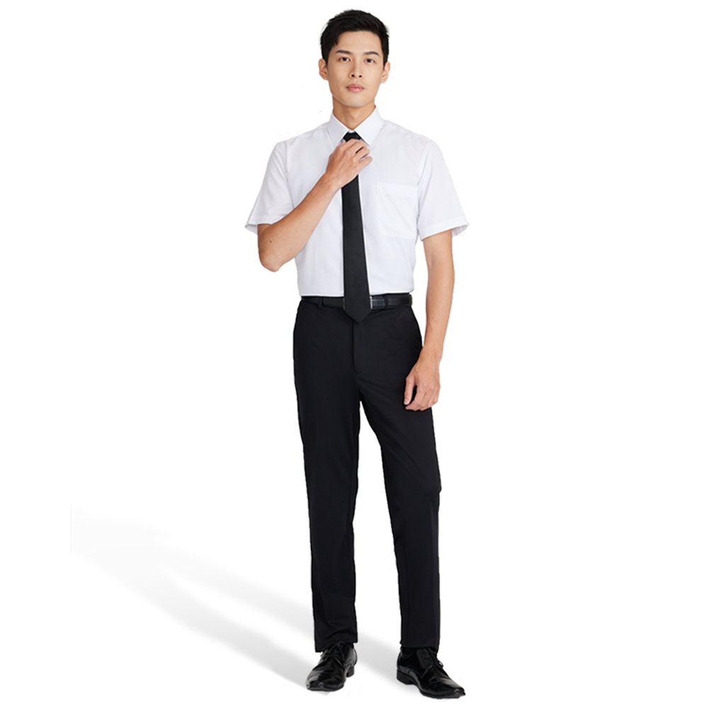 Mens Plain Smart Shirts (L), , large