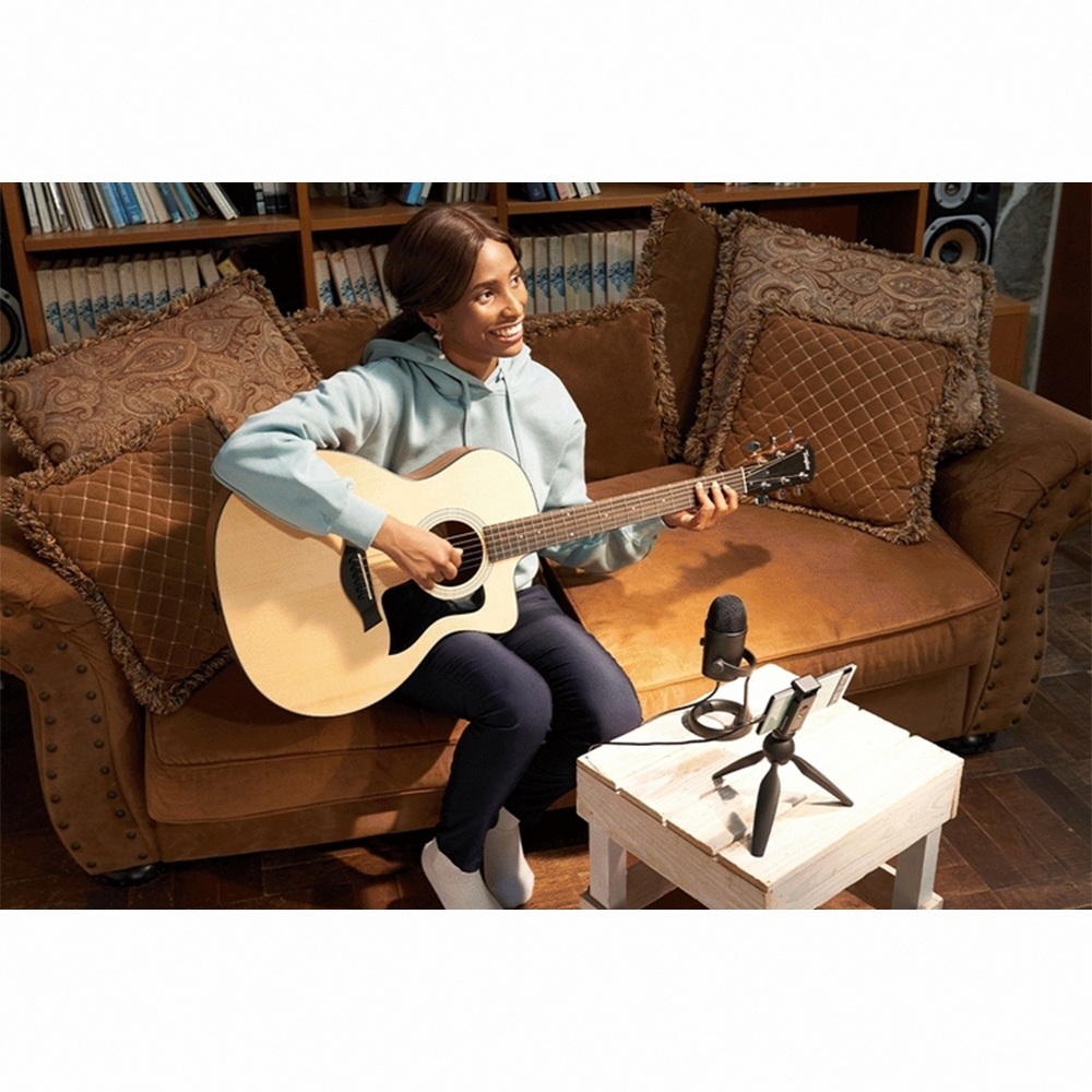 instrument, , large