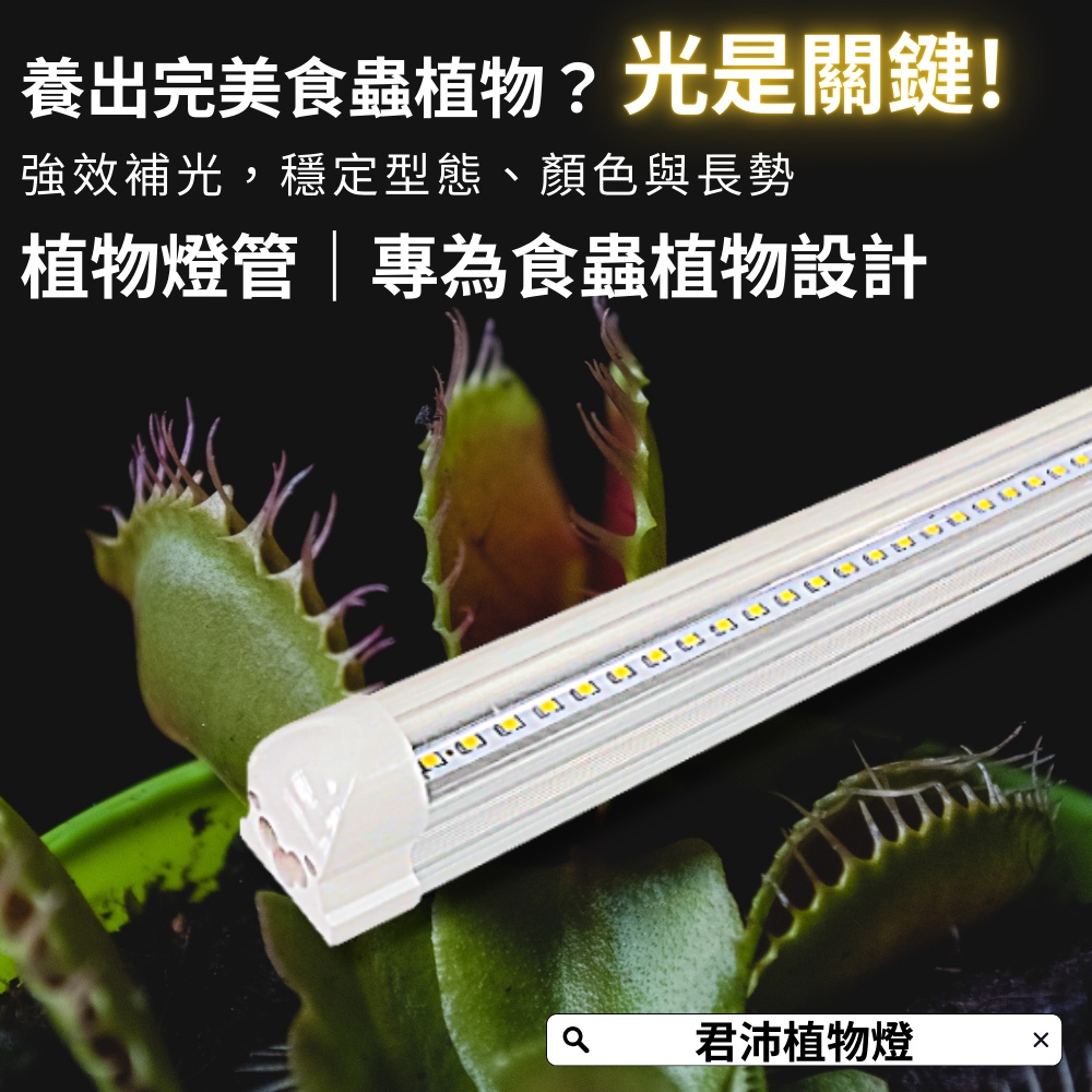 【君沛】3號顯色光譜 T8植物燈管 食蟲植物推薦 捕蠅草 毛膏菜顯色 抑制徒長 室內燈養首選 桌上型專業生長燈, , large