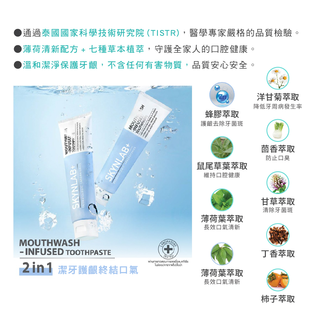 【千康嚴選】SKYNLAB+ 太潔草本清新薄荷牙膏100g, , large