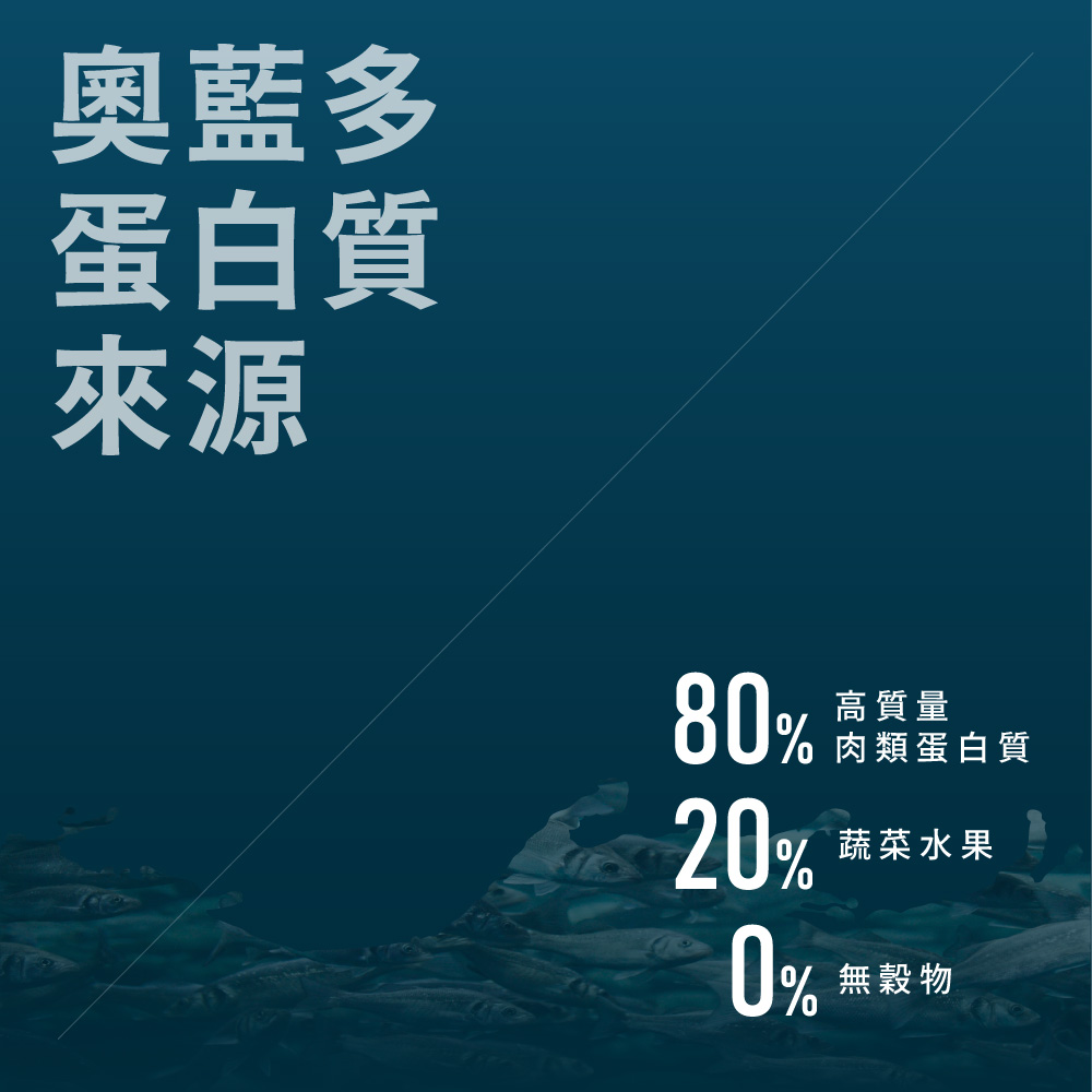 【Allando 奧藍多】無榖貓糧雞肉+火雞肉+鴨肉1.2KG(全齡貓/貓飼料/貓糧), , large