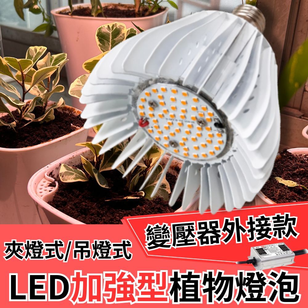 【君沛植物燈】LED植物燈 50W燈杯型 加強型光譜 外接變壓器款 植物生長燈, , large