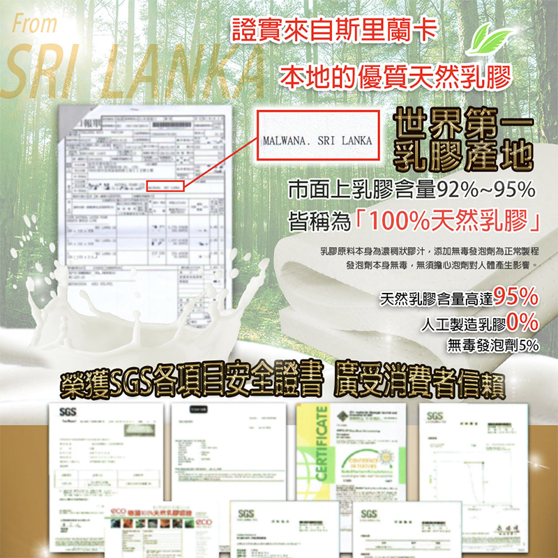 ［熊棉］斯里蘭卡乳膠床墊｜5尺｜天然乳膠 無毒 折疊床 偏軟款 慢回彈 好收納 車宿 露營 租屋, , large