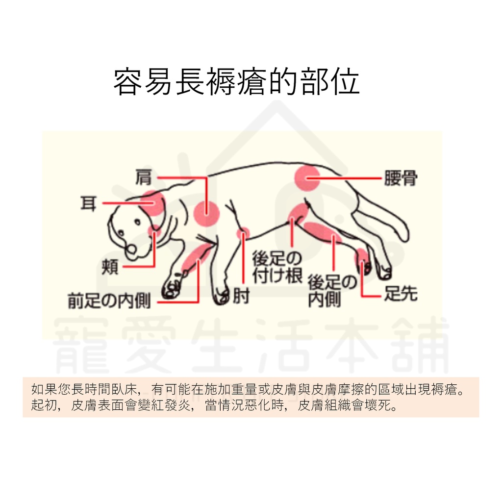 【寵愛生活本舖】PETIO寵物關節輔助支撐帶（中號）四入 派地奧, , large