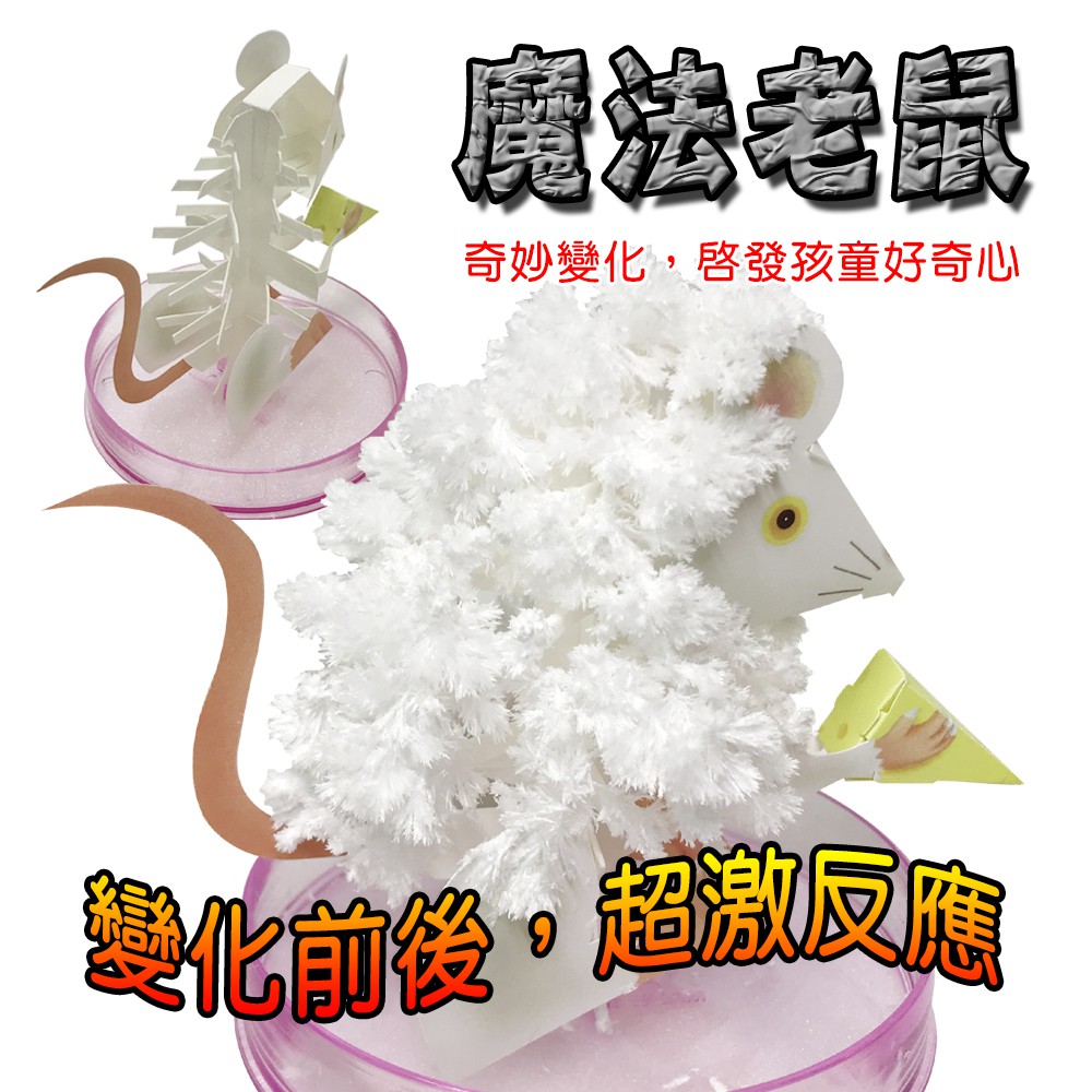 GS MALL 台灣製造 魔法成長錢鼠 魔法開花鼠 成長鼠 錢鼠 神奇錢鼠 紙花 開花鼠 裝飾樹 開花樹, , large