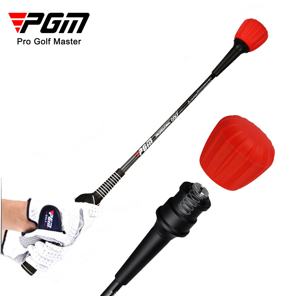 PGM, , large