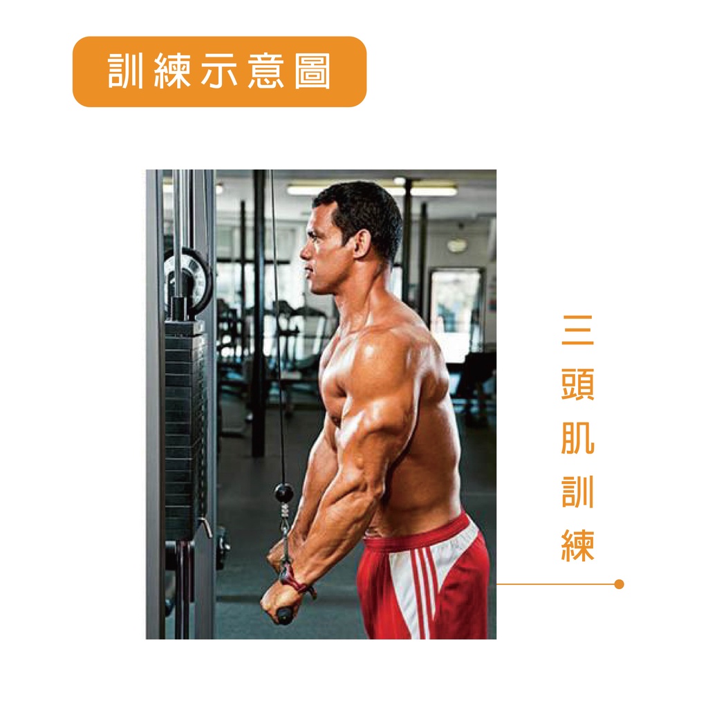 [Body Dynamic]【Resistance Handle】Black V-Shaped Cable Handle, , large