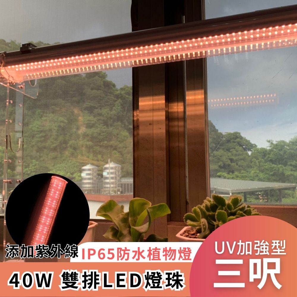 【君沛】UV紫外線 3呎 40W 防水植物燈 加強型光譜 三防燈 LED生長燈 多肉顯色 龍舌蘭 抑制徒長 植物架補光, , large
