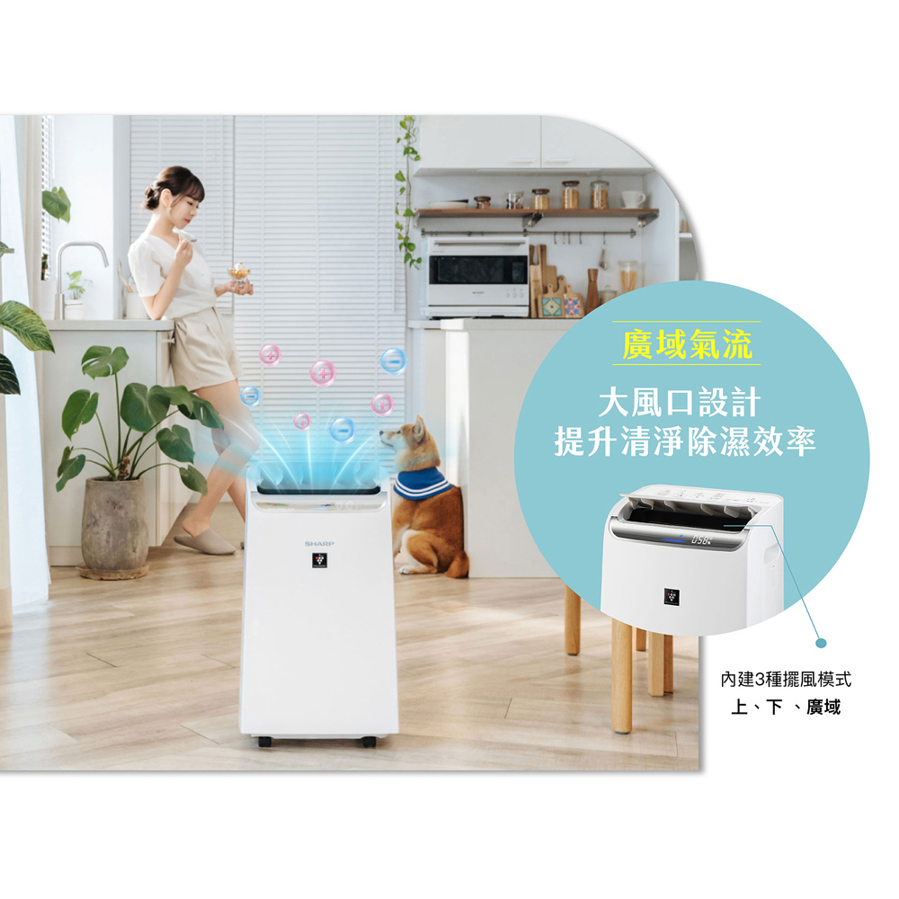SHARP 夏普 自動除菌離子 3合1智慧空氣清淨除濕機 DW-WA12FT-S, , large