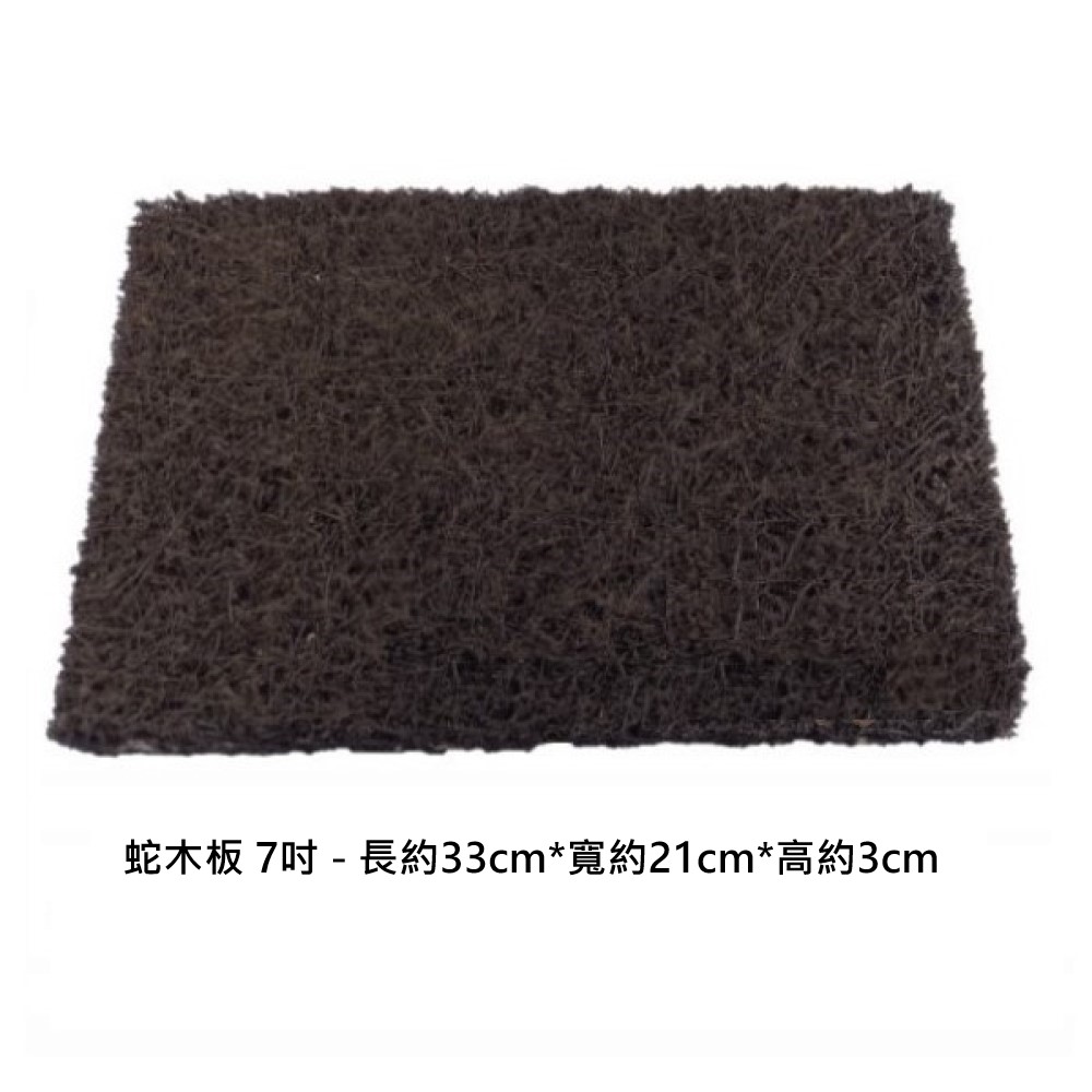 【向花緣】蛇木板 7吋 - 長約33cm*寬約21cm*高約3cm, , large