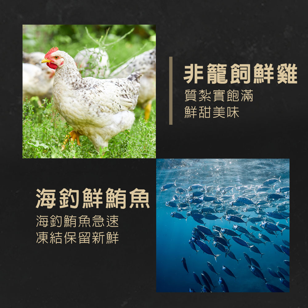 【TAPAZO 特百滋】絲絨鮮肉泥 全齡犬 狗餐盒 犬零食 綜合口味15g*32入(狗肉泥/狗零食), , large