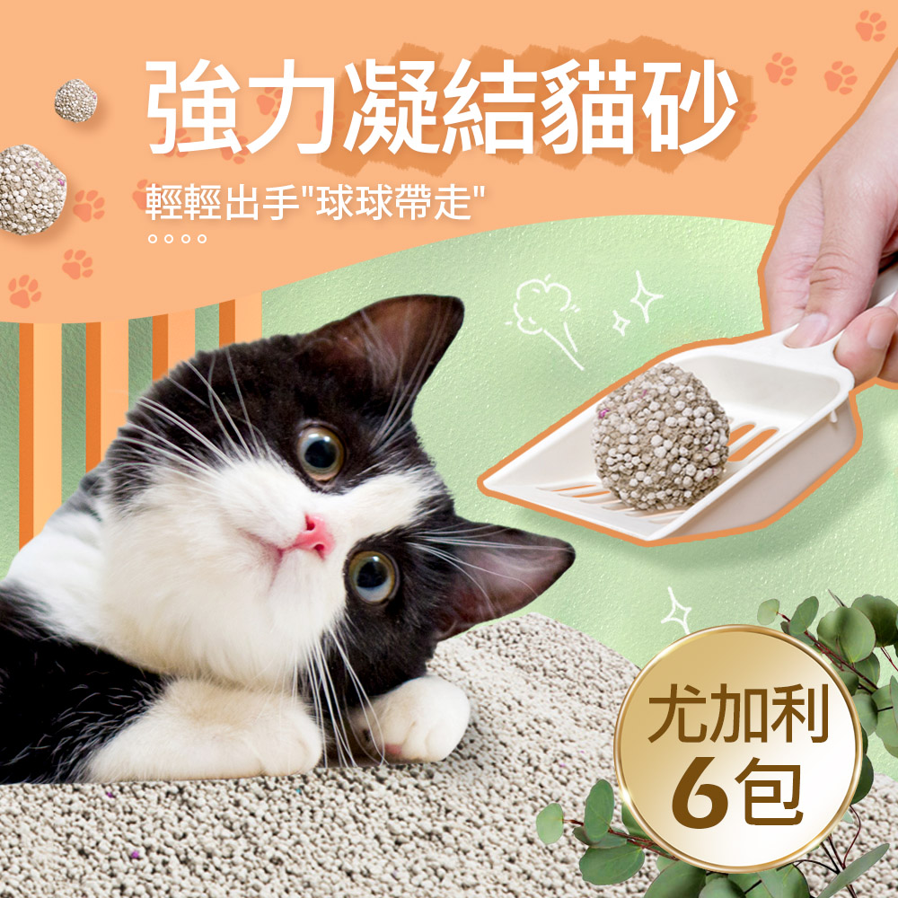 【毛孩王】強效除臭 強力凝結 貓砂5kgX6包(六種香味選), , large