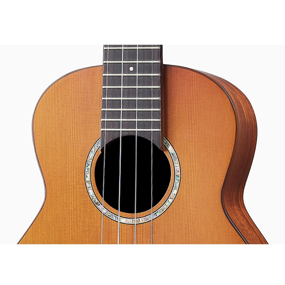 instrument, , large