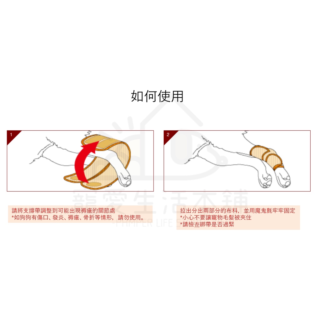 【寵愛生活本舖】PETIO寵物關節輔助支撐帶（大號）四入 派地奧, , large