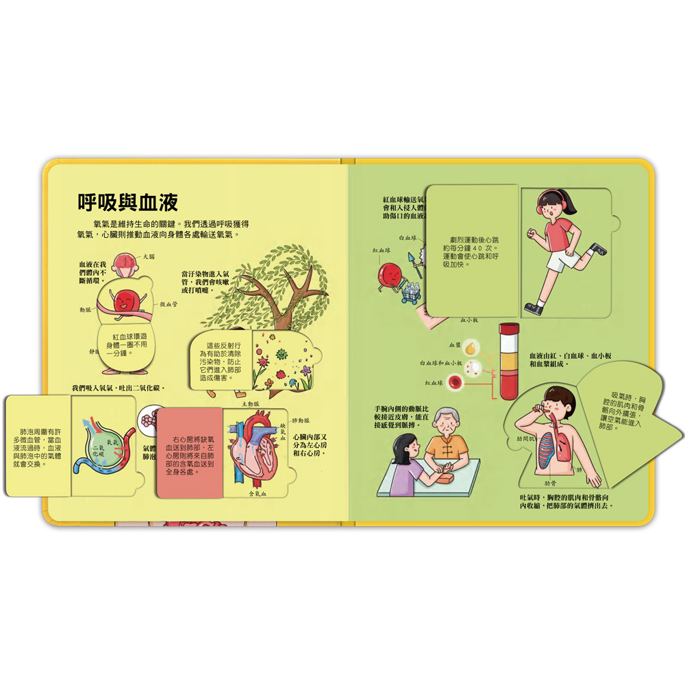 [風車圖書] 百問百答圖解翻翻書-揭祕身體, , large