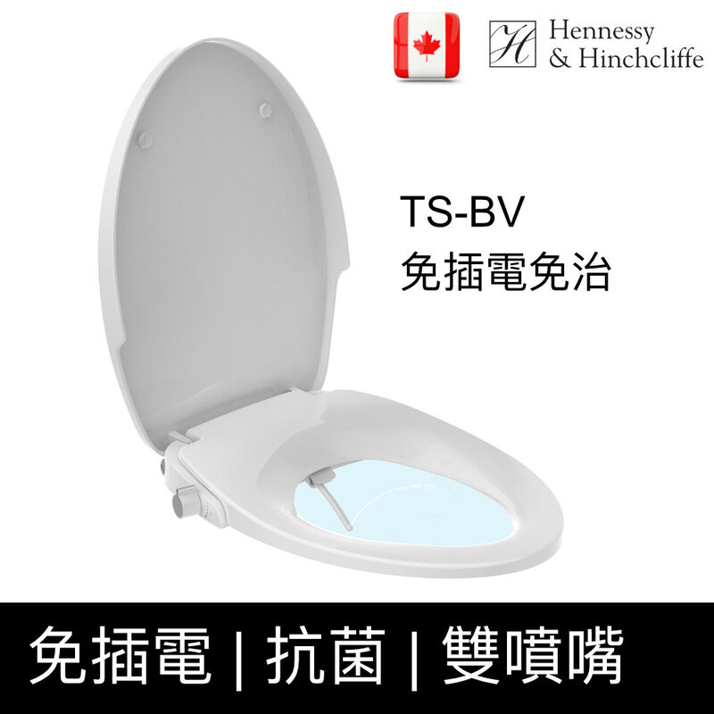 TS-BV, , large