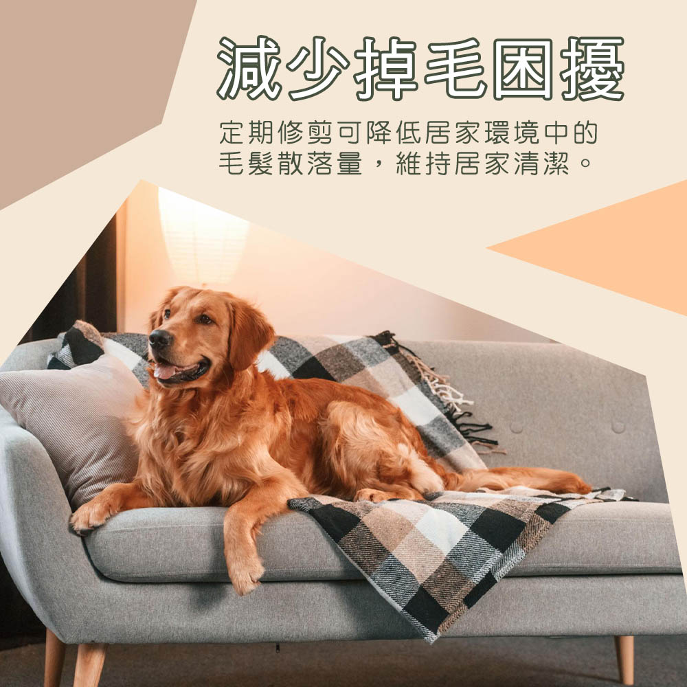 [HANLIN]-P938 寵物電動推剪 寵物電剪 寵物剪毛器 家用升級版 寵物剃刀 理毛器 剃毛器 電推剪 USB充電, , large