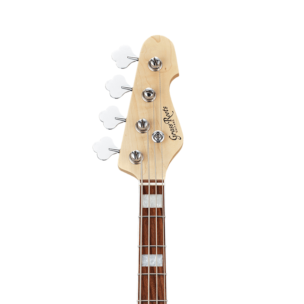 ESP GrassRoots G-AMAZE DLX MS ASH, , large
