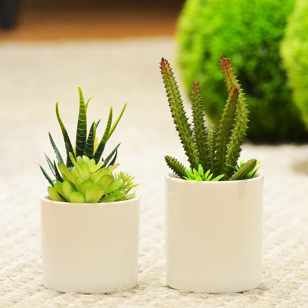 【YU Living】 迷你仿真仙人掌植物盆栽, , large