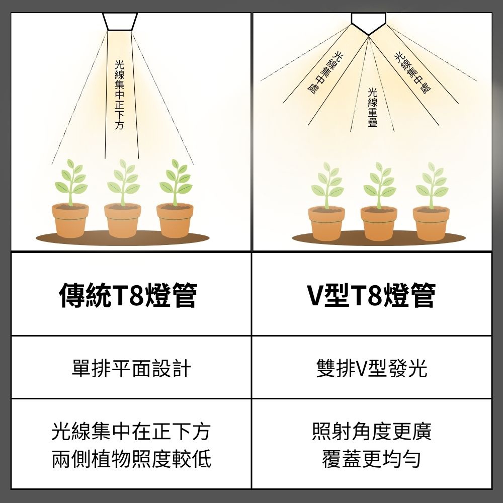 【君沛】紅藍光譜 V型雙排 4呎T8一體式 50W 專業育苗 抑制徒長 鹿角蕨孢子苗 龍舌蘭層架專用, , large