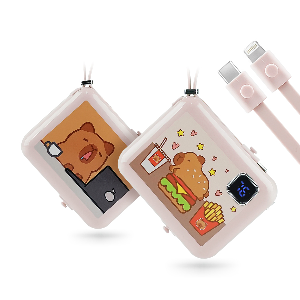 Power Bank, , large
