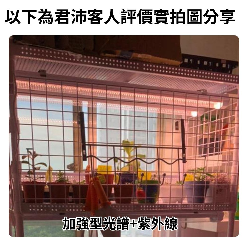 【君沛】UV紫外線 2呎 25W 防水植物燈 加強型光譜 三防燈 LED生長燈 多肉顯色 龍舌蘭 抑制徒長 植物櫃補光, , large