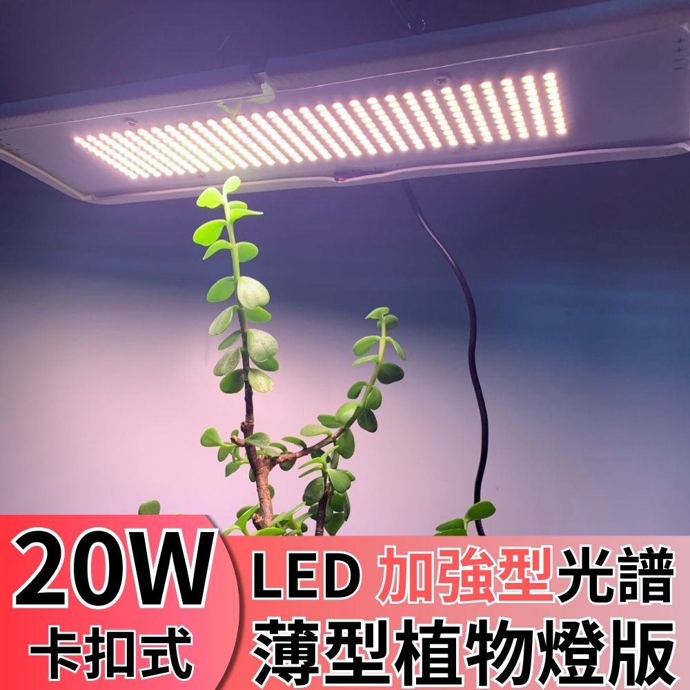 【君沛】卡扣式薄型植物燈板 20W 加強型光譜 植物控養 LED植物燈 植物箱 層架 龍舌蘭 塊根 補光燈, , large