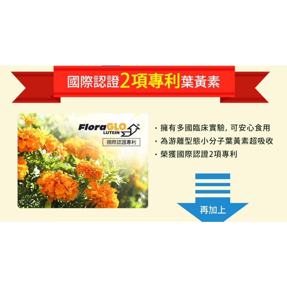 【葡萄王】 優適金盞花葉黃素90粒x6瓶 共540粒 (專利葉黃素配方 FloraGLO 山桑子 葡萄籽), , large