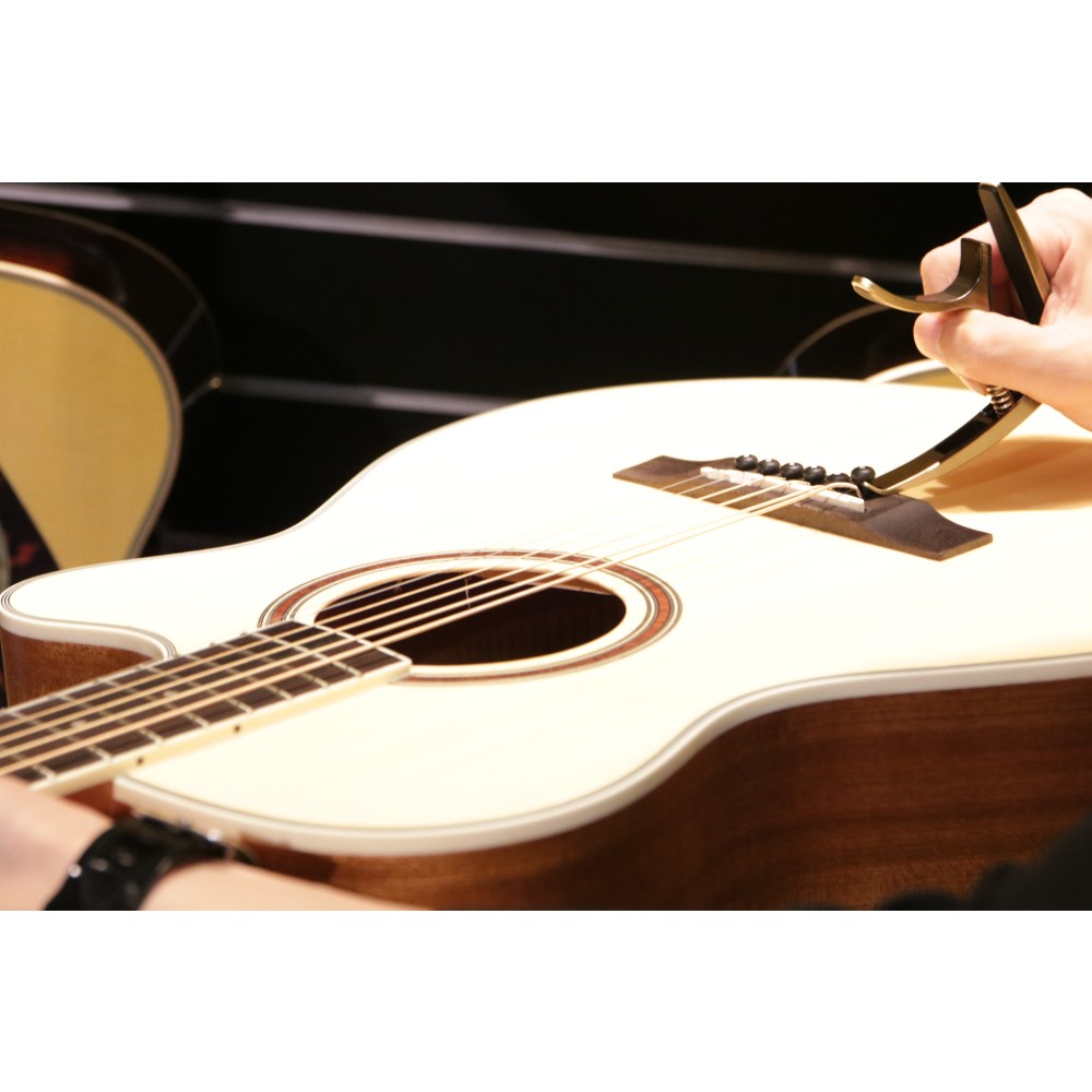instrument, , large