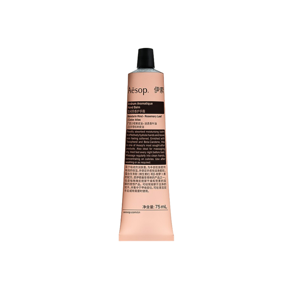 Aesop, , large