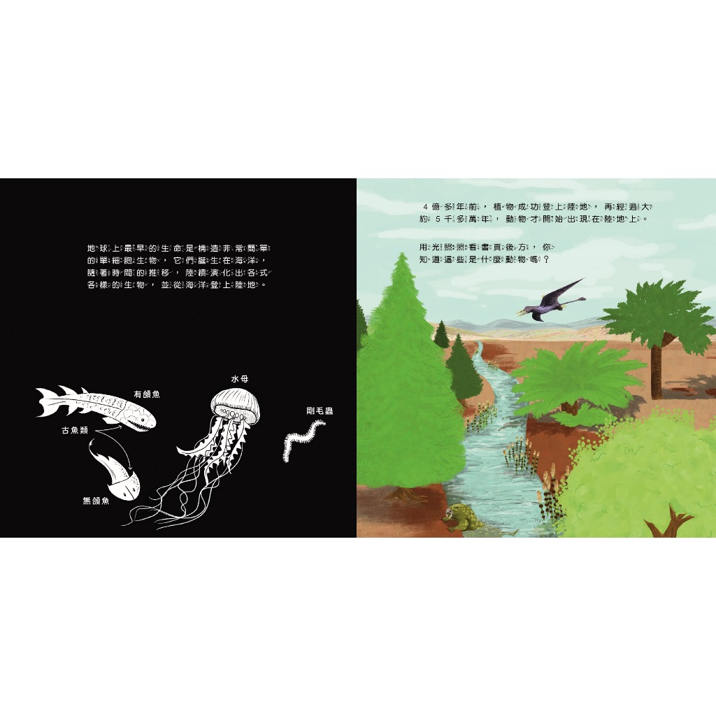 HOLIU CREATIVE CO.,LTD, , large