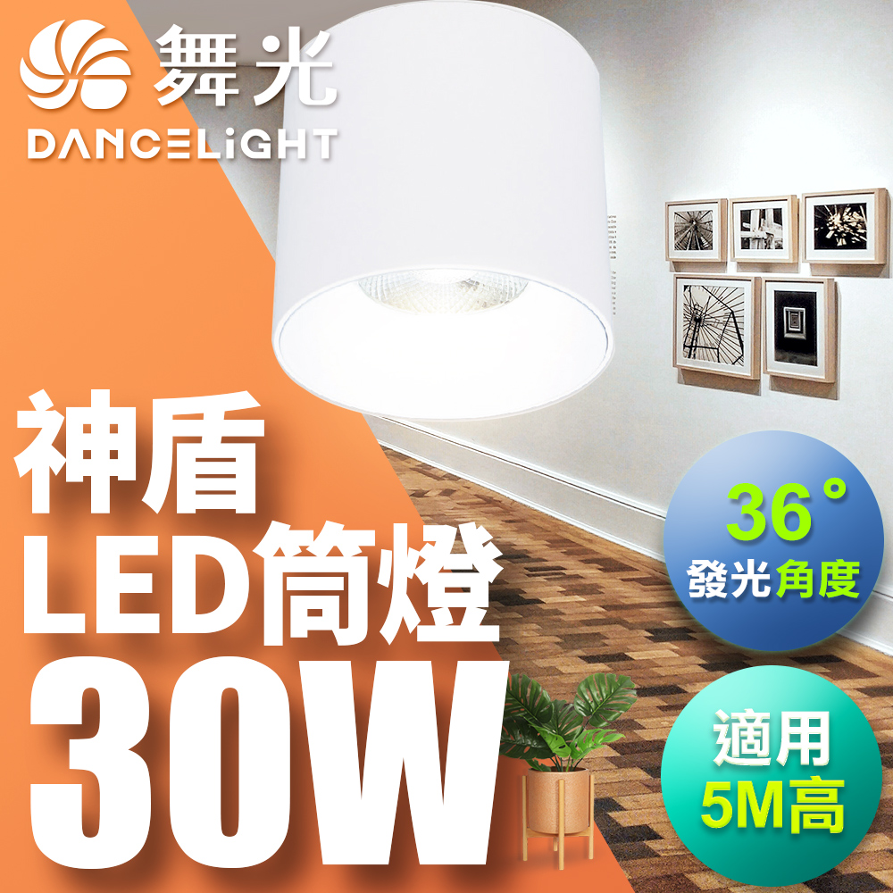 DanceLight dance light 30W Aegis downlight, beam angle 36 degrees, die-cast aluminum, fast heat dissipation, full voltage, one-piece molding, fashionable white (white light), , large