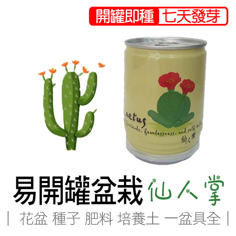 cactus, , large