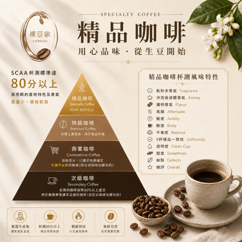 【LODOJA 裸豆家】冷萃精品咖啡1包(250g/包 冰滴咖啡 莊園等級 嚴選 阿拉比卡豆新鮮烘培), , large