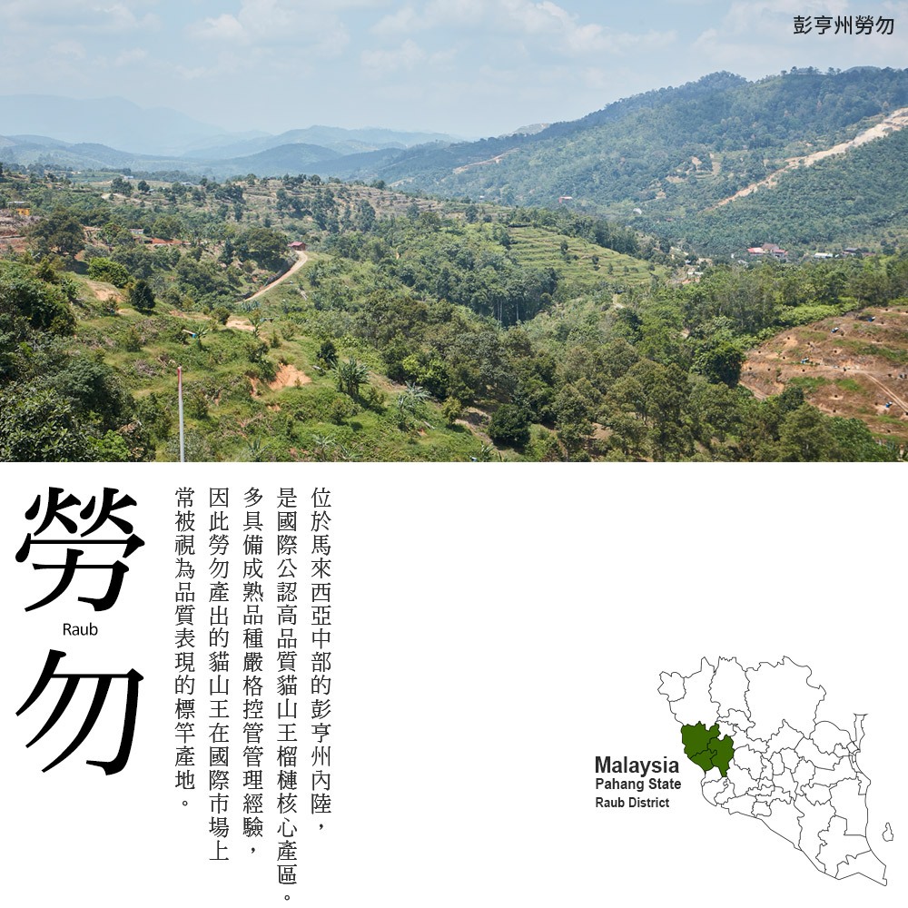 ★真的貓山王!!!★【D.MASKING榴槤大哥】全台唯一馬來西亞官方認證&rarr;勞勿冷凍貓山王榴槤 400g_2盒, , large